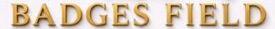 badges field
